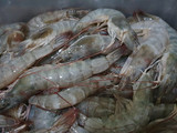 Udang Lada Hitam Pedas