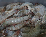 Foto langkah ke 1 dari resep Udang Lada Hitam Pedas.
