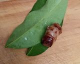 Foto langkah ke 1 dari resep Gulai Kacang Panjang.