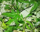 Foto langkah ke 4 dari resep Tauco Daun Ubi Jalar.
