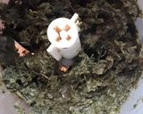 Foto del paso 2 de la receta: Arrollado de acelga
