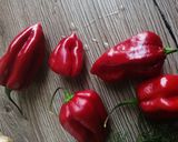 Une image de l'étape 2 de Sauce yaourt grec aneth habanero🌶️.