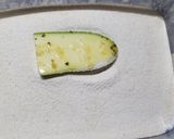 Foto del paso 2 de la receta: Milanesas de zucchini empanado con Fariña