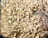 A picture of step 5 of Atta pinni.
