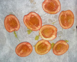 Foto del paso 1 de la receta: Tomates rellenos de queso mozzarella