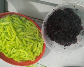 CINTA (CINDOL N TAPE) - Step 1