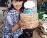 รูปขั้นตอนการทำที่ 6 ของ Milky Mushroom Fin Soup