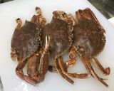 🦀彩椒滑蛋澎湖扁蟹🦀的食譜步驟1照片