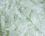 Hình bước làm 1 của món Cá mờm chiên ngày đông