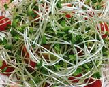 Hình bước làm 3 của món Salad Rau Mầm Cá Hộp