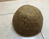 Foto del paso 3 de la receta: Pan integral y centeno 🥖🌾