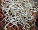 Gambar langkah 5 resipi Mi Goreng Mamak Cara Ku.