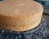 Foto del paso 3 de la receta: Torta Matera