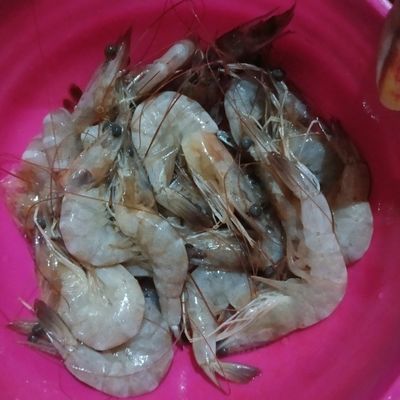 Langkah 1