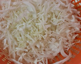 Foto del paso 2 de la receta: Ensalada ligera de col y zanahoria