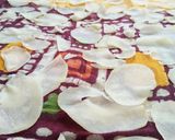 વેફર (Waffers Recipe In Gujarati) રેસીપી સ્ટેપ3ફોટો
