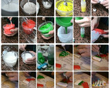 Foto del paso 3 de la receta: Galletas de Navidad decoradas