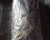 Foto del paso 4 de la receta: Pollo relleno al horno en papel aluminio