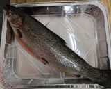 Foto del paso 1 de la receta: Trucha al horno