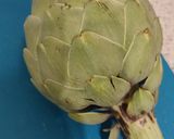 Foto langkah ke 1 dari resep Oven-baked Artichoke.