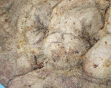 Foto del paso 2 de la receta: Fricandó de ternera