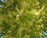 A picture of step 1 of Bathu palak puri with curd.