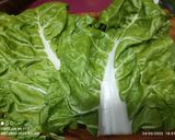 Foto del paso 3 de la receta: Hojas y tallos de acelgas rellenos