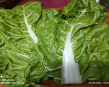 Foto del paso 3 de la receta: Hojas y tallos de acelgas rellenos
