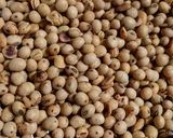 Foto langkah ke 6 dari resep Ketan bubuk jawa timur.