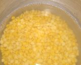 A picture of step 1 of Raw Papaya & Chana dal Dalma.