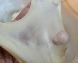 Foto langkah ke 3 dari resep Roti Tawar Metode Tangzong.