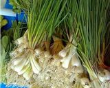 Foto langkah ke 5 dari resep Telur Dadar Kucai.