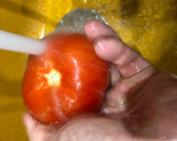 Foto del paso 1 de la receta: Ensalada de verano o campera