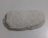 Foto langkah ke 16 dari resep Wijen Italian Herbs Cheese Sourdough Bread (Open Bake Method).