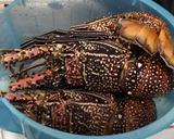 Foto langkah ke 1 dari resep Lobster Asam Manis Pedas.