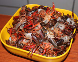 Foto del paso 1 de la receta: Cangrejos de rio con tomate