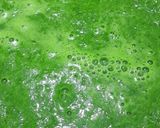 A picture of step 3 of Palak - Amla juice.