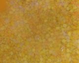 A picture of step 3 of Traditional Panchmel Daal 😋.