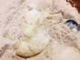 નો ઓવન નો યીસ્ટ વ્હીટ પીઝા(નો Oven નો yeast Whole Wheat Pizza Recipe in Gujarati)