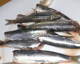 Foto del paso 1 de la receta: Sardinas en la freidora de aire