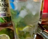 Une image de l'étape 2 de 🌱Mojito.