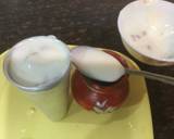 Mixed Fruit Yogurt Kulfi recipe step 3 photo