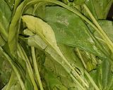 A picture of step 1 of PPP fitters palak paneer peas.