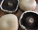 Foto del paso 1 de la receta: Portobellos gigantes con relleno