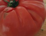 Foto del paso 1 de la receta: Tomate relleno de cottage