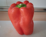 Foto del paso 3 de la receta: Pimiento rojo relleno de ternera al horno
