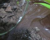Foto langkah ke 5 dari resep 1065. Chocolate Fudgy Brownies Gluten Free.