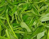 Hình bước làm 1 của món Rau muống trộn