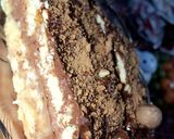 صورة لخطوة 4 من وصفة حلوى 🍫 لذيذة على طريقتي