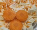 عکس مرحله 4 از دستور سالاد کلم سفید (رژیمی)